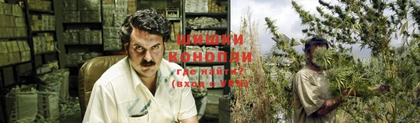 каннабис Туринск