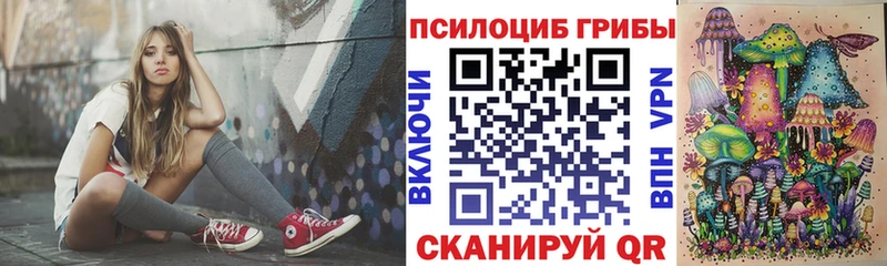 Псилоцибиновые грибы прущие грибы  Купить закладки  Строитель 